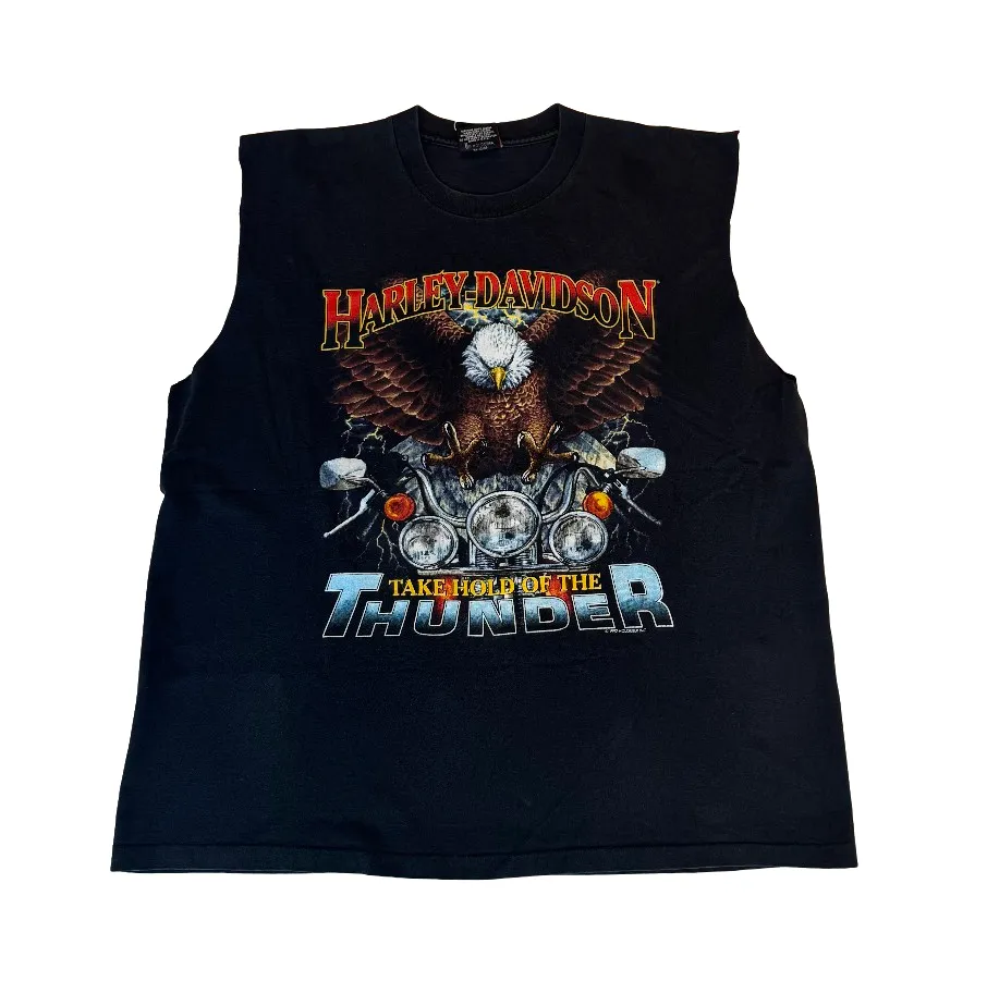 Harley Davidson &