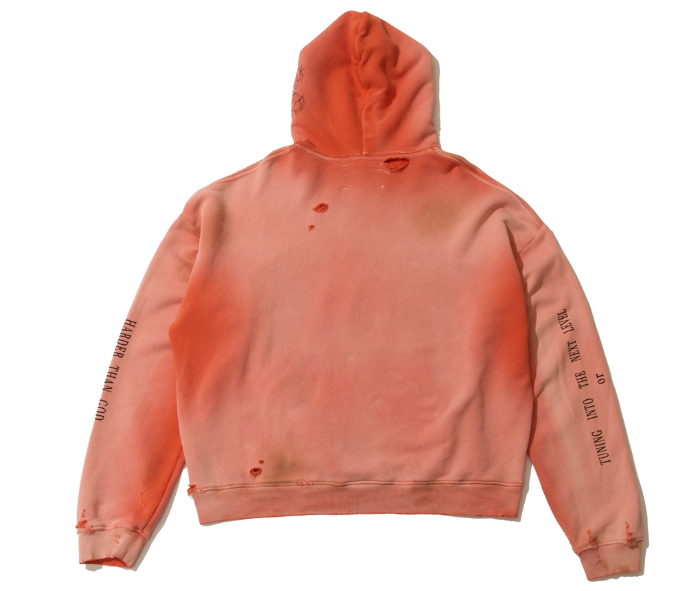 Paly 'SDDN WSDM' Hoodie