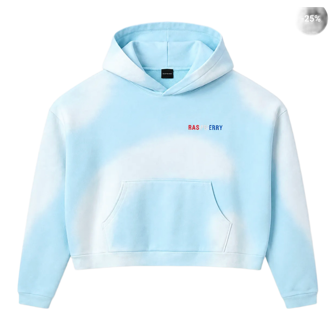 Gold+Vintage Gallery Raspberry Hills 'Light Blue' Czech Hoodie