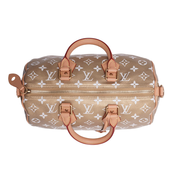 Louis Vuitton &