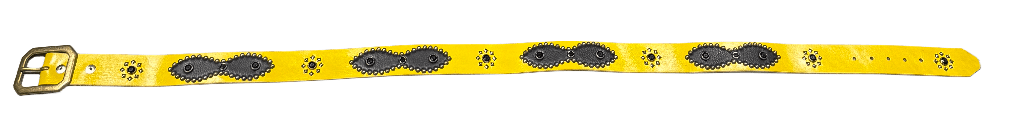 Studded &