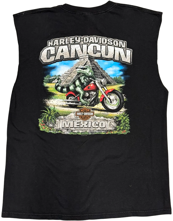 Harley Davidson &