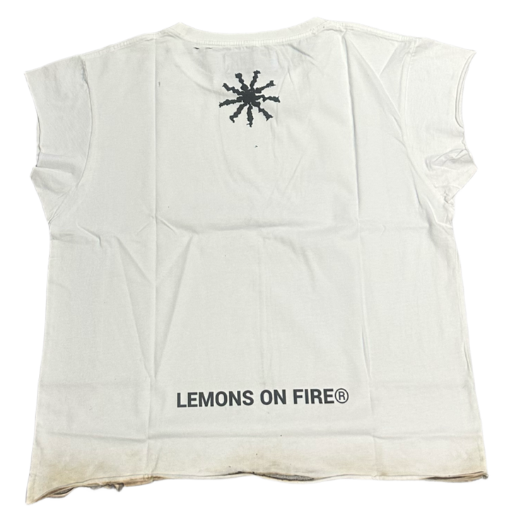 Lemons On Fire &