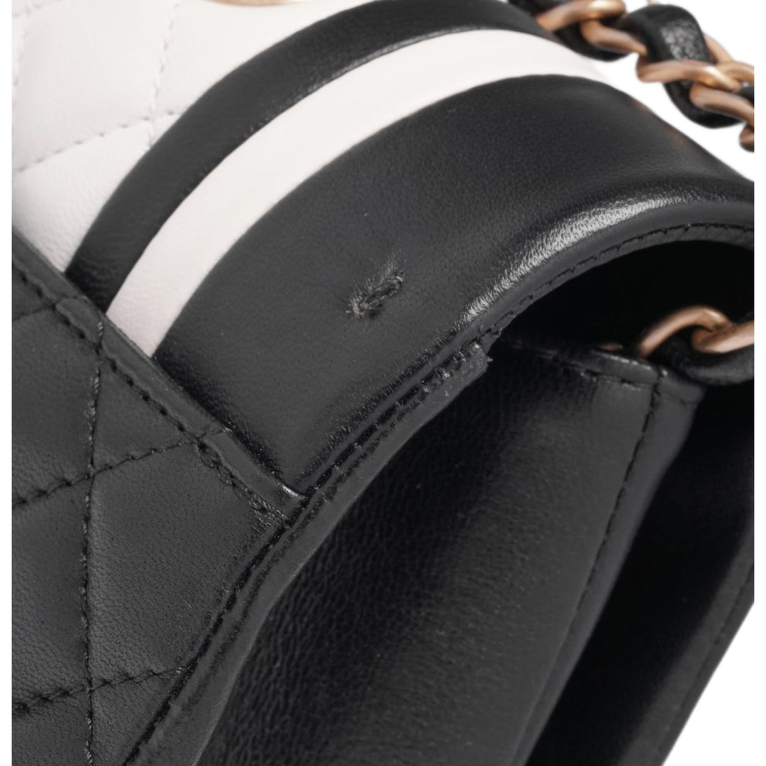 Chanel 'Bicolor' Small Lambskin Paris Cosmopolite Flap Bag