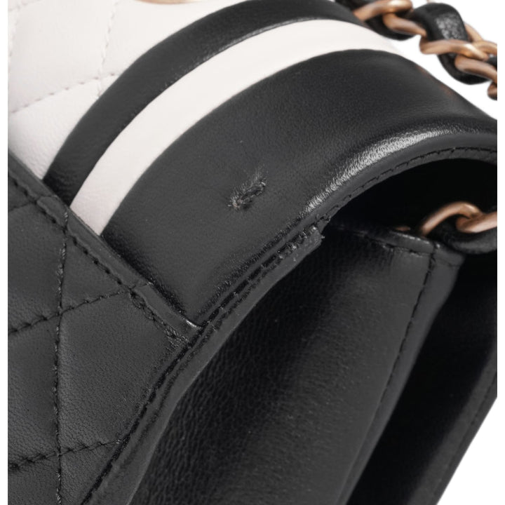 Chanel 'Bicolor' Small Lambskin Paris Cosmopolite Flap Bag