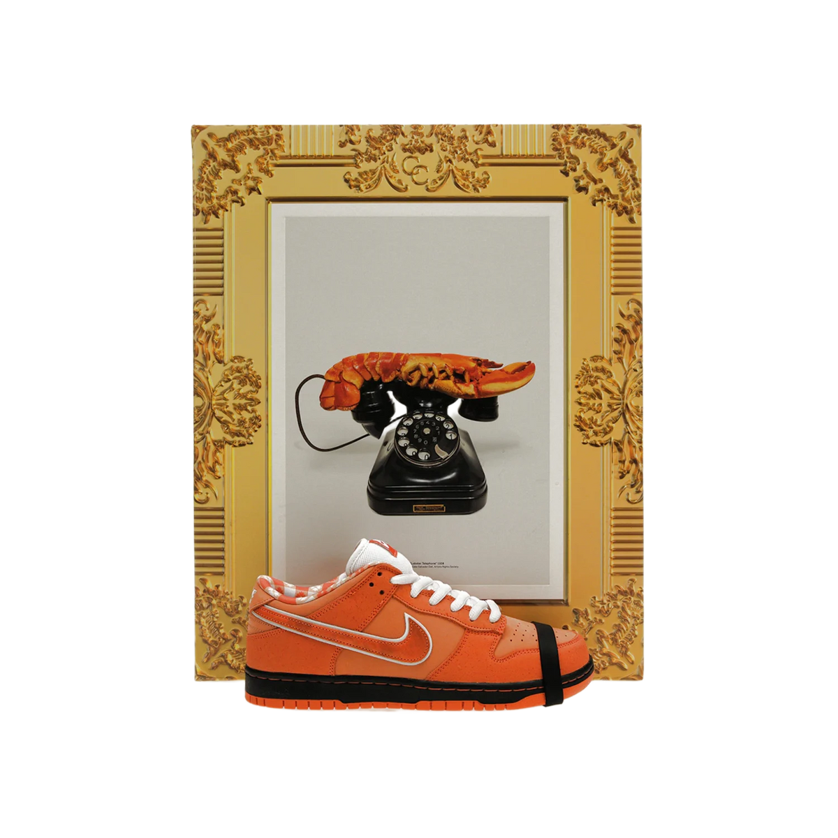 Nike SB Dunk Low Concepts 'Orange Lobster' Special Box