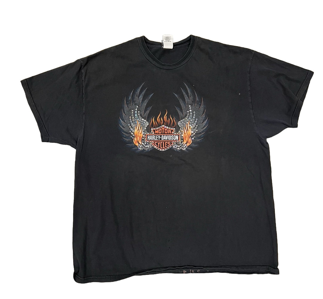 Harley Davidson &