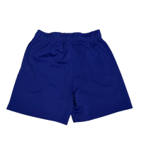 Eric Emanuel 'Purple' Basic Mesh Shorts