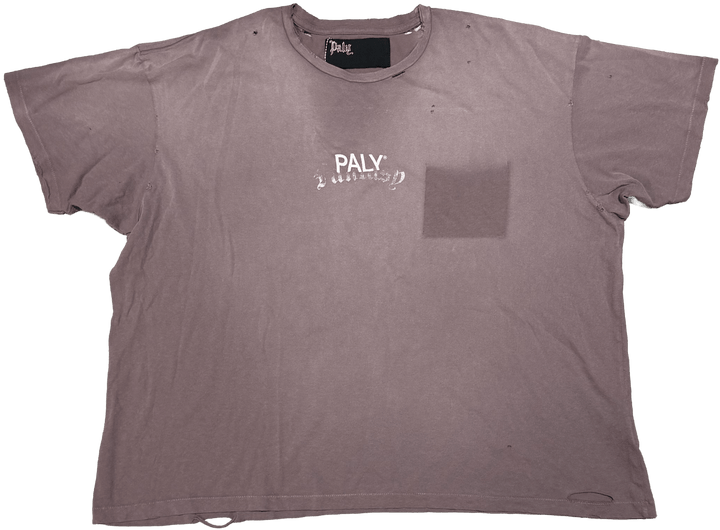Paly &
