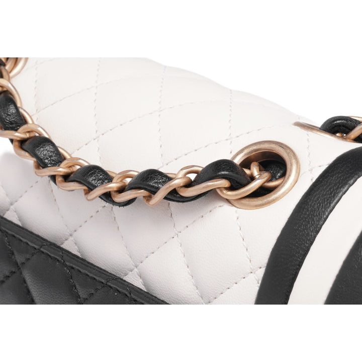 Chanel 'Bicolor' Small Lambskin Paris Cosmopolite Flap Bag