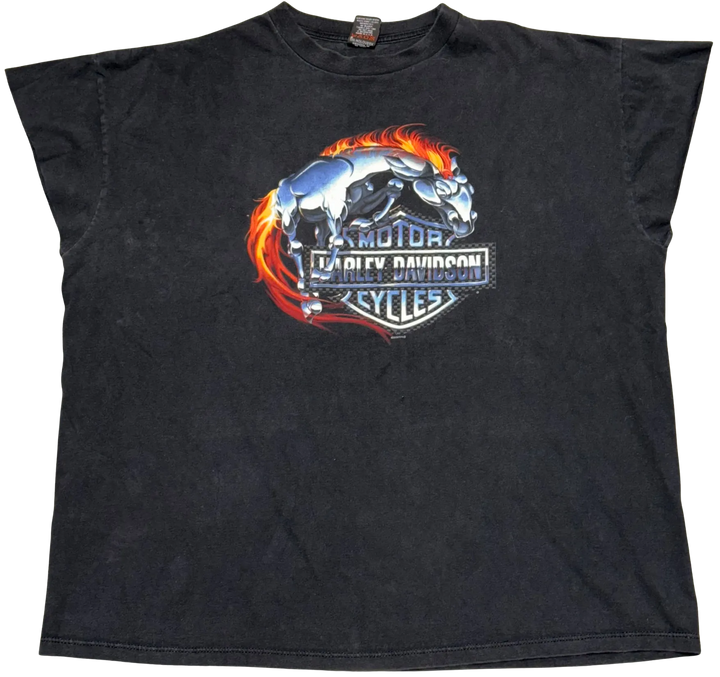 Harley Davidson &