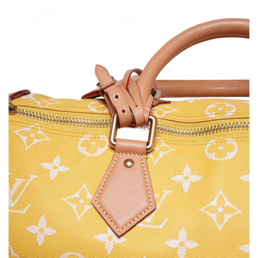 Louis Vuitton &