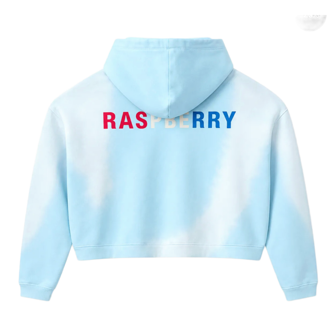 Gold+Vintage Gallery Raspberry Hills 'Light Blue' Czech Hoodie