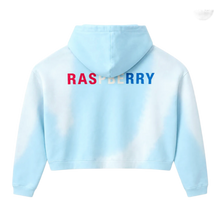 Gold+Vintage Gallery Raspberry Hills 'Light Blue' Czech Hoodie