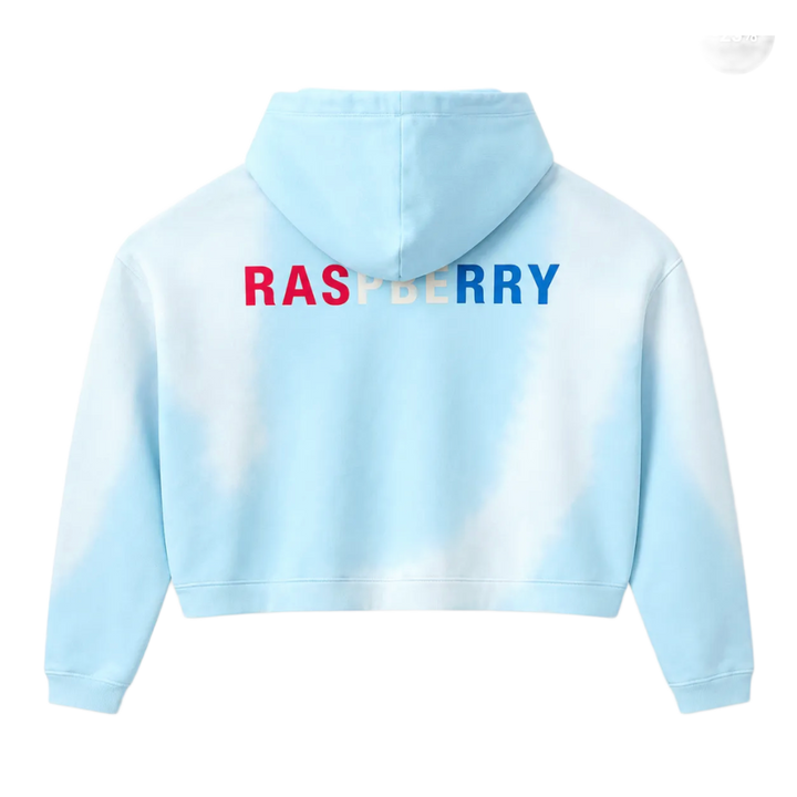 Gold+Vintage Gallery Raspberry Hills 'Light Blue' Czech Hoodie