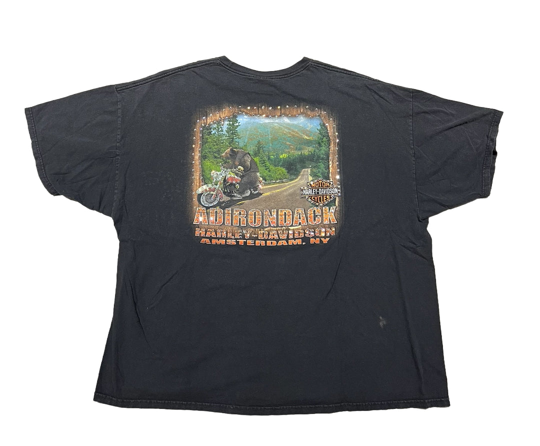 Harley Davidson &