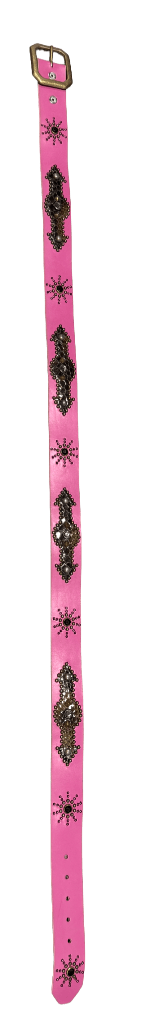 Studded &