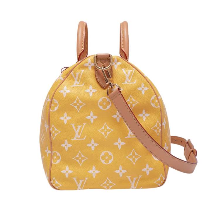Louis Vuitton &