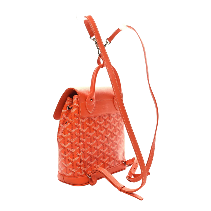 Goyard Goyardine &