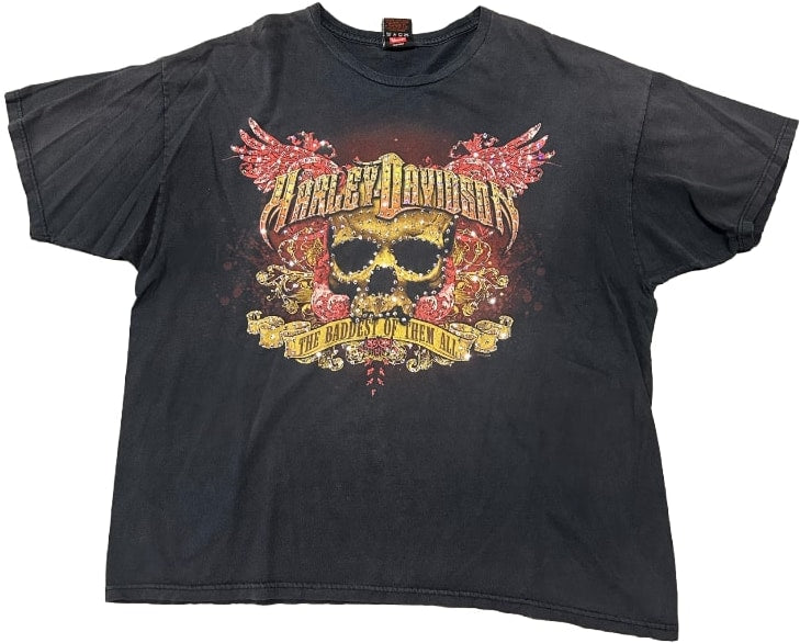 Harley Davidson &