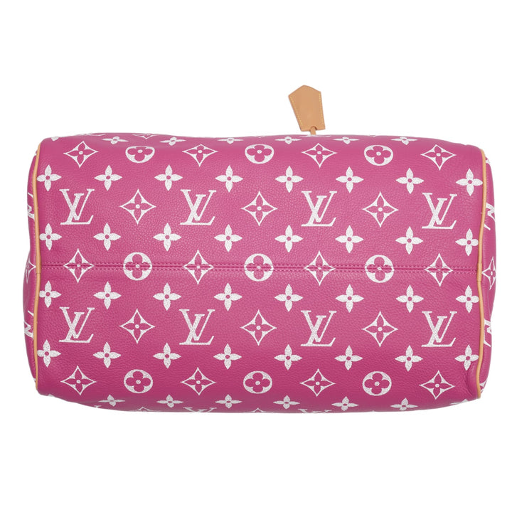 Louis Vuitton &