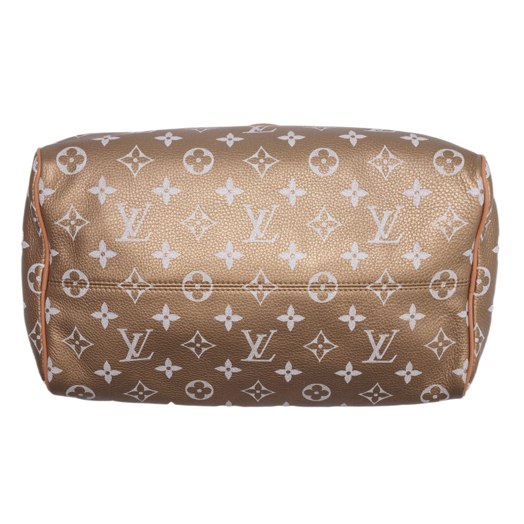 Louis Vuitton &