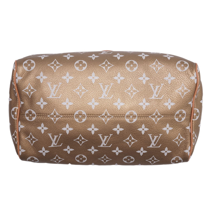 Louis Vuitton &