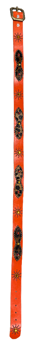 Studded &