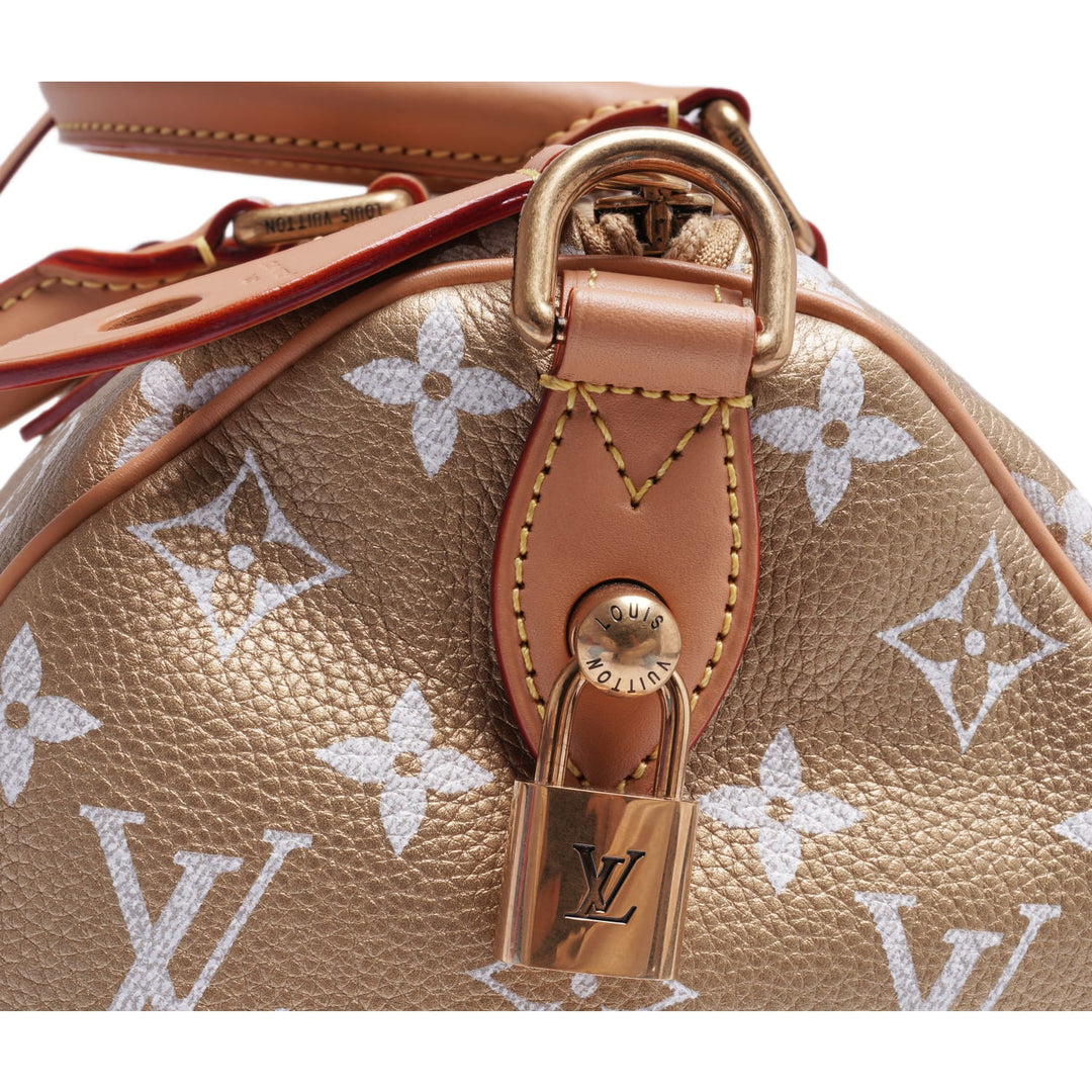 Louis Vuitton &