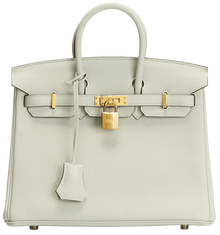 Hermés Togo 'Gris Neve' Birkin 25 2023 Handbag