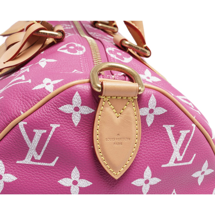 Louis Vuitton &