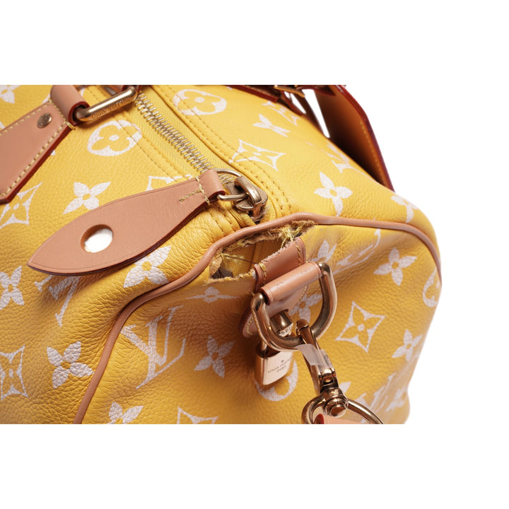 Louis Vuitton &