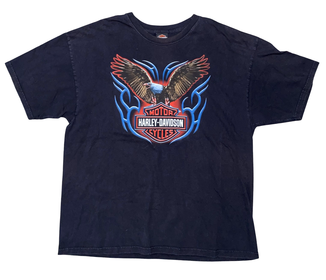 Harley Davidson 'Fairbanks, AK' Vintage Tee