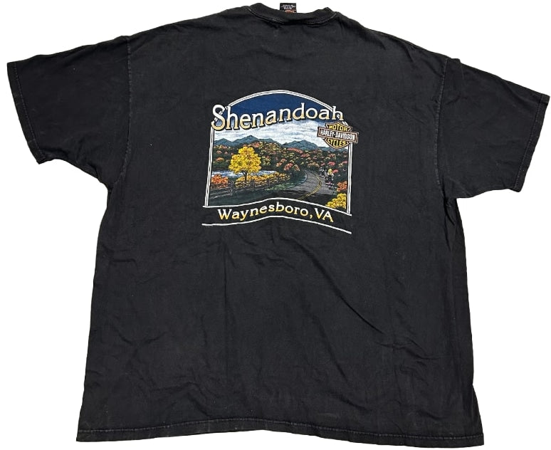 Harley Davidson &