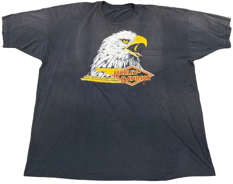 Harley Davidson &