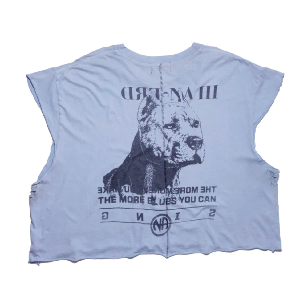 Enfants Riches Déprimés 'Pitbull' Light Blue Cutoff