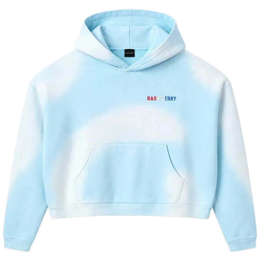 Gold+Vintage Gallery Raspberry Hills 'Light Blue' Czech Hoodie