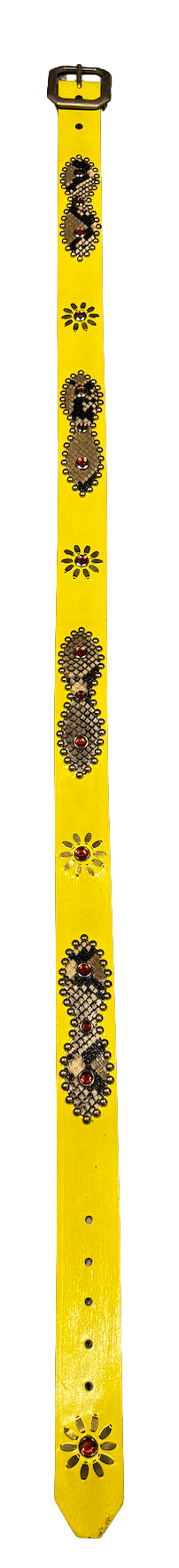 Studded &
