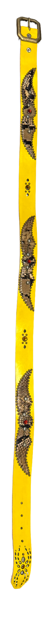 Studded &