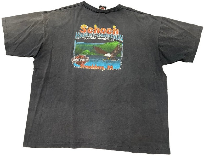Harley Davidson 'Schoch No Fear' Rhinestone Vintage Tee