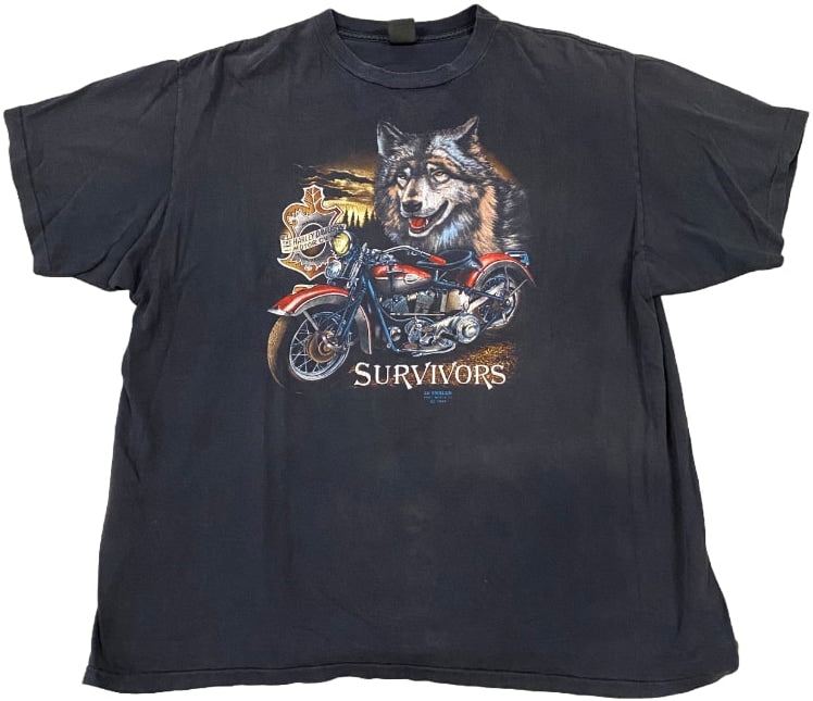 Harley Davidson &