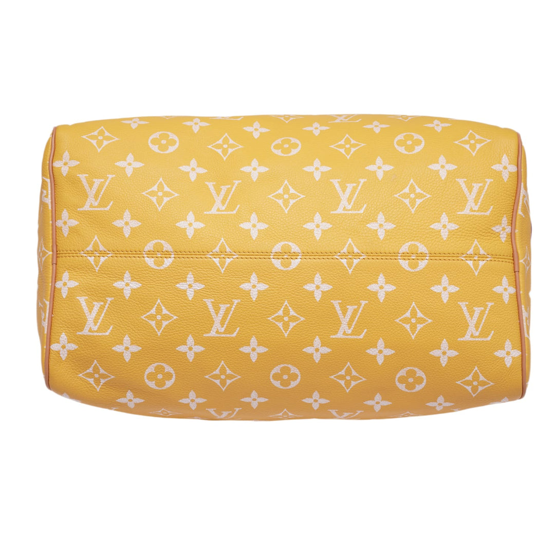 Louis Vuitton &