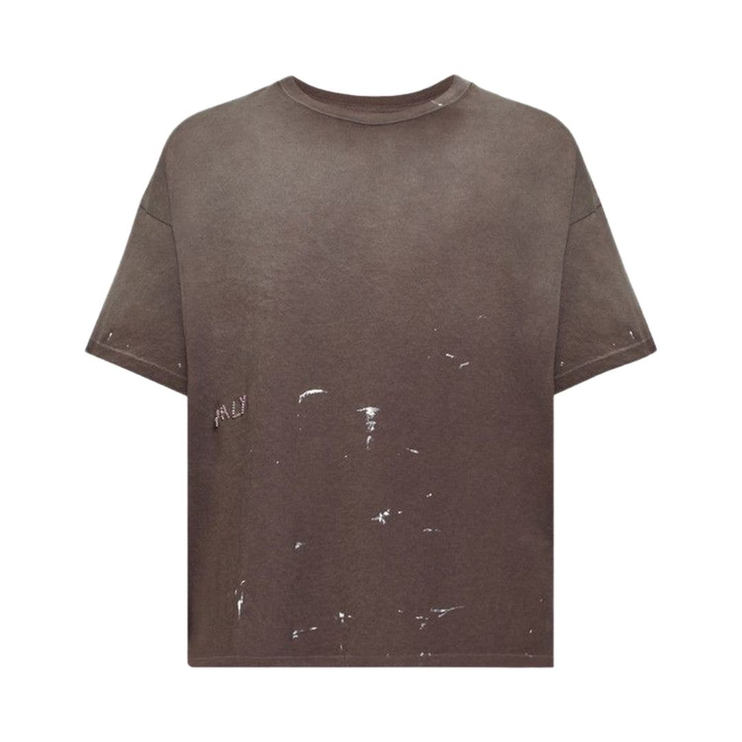 Paly Hollywood &