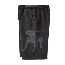 Gold+Vintage Gallery Raspberry Hills 'Black' Dogs Shorts